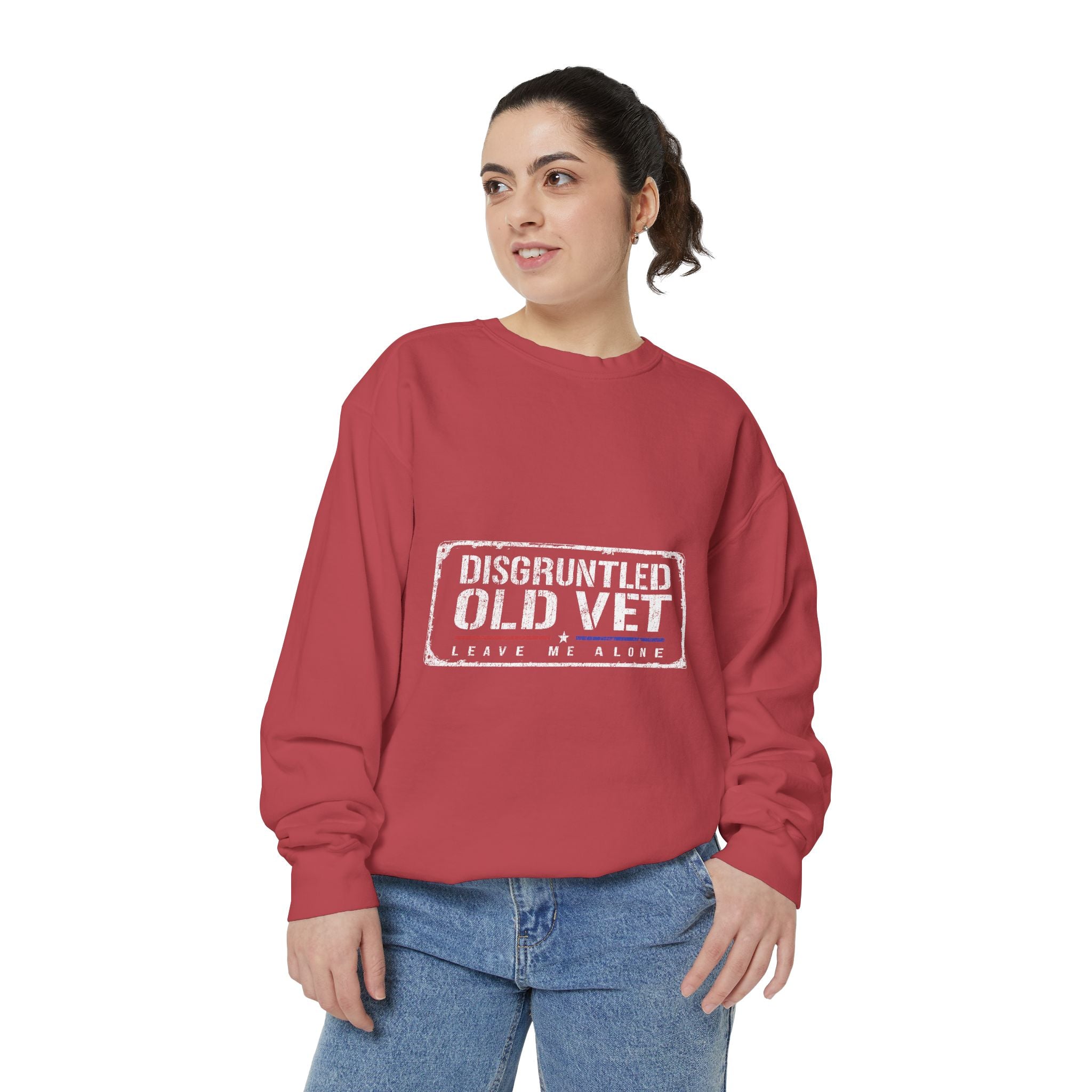 Disgruntled Old Vet Sweatshirt, Leave Me Alone Veteran Crewneck, Funny Military Gift for Retired Soldier, Sarcastic Grandpa Pullover