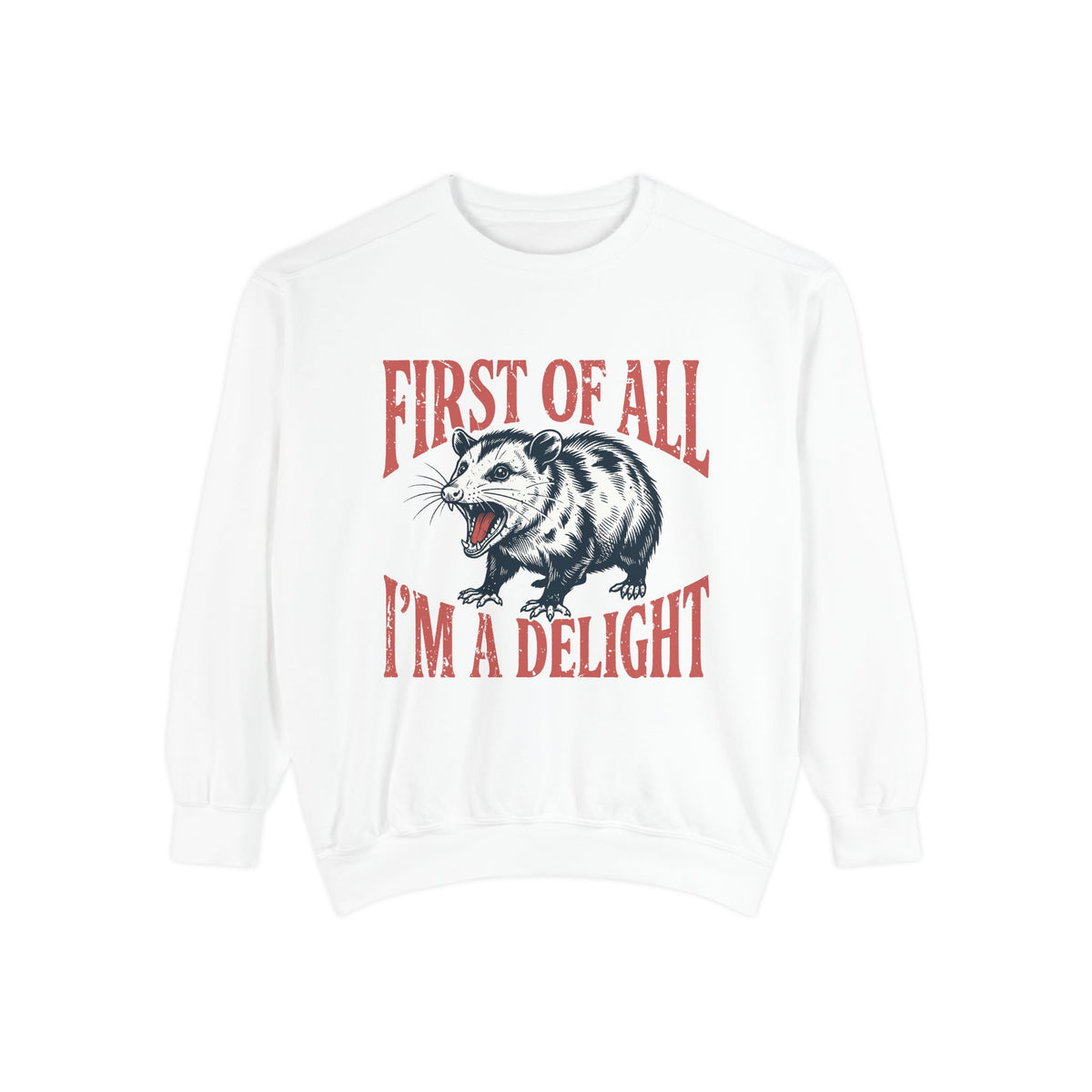 Funny Possum Sweatshirt, First of All I'm a Delight Crewneck, Sarcastic Animal Lover Gift, Vintage Opossum Graphic Cozy Pullover Top