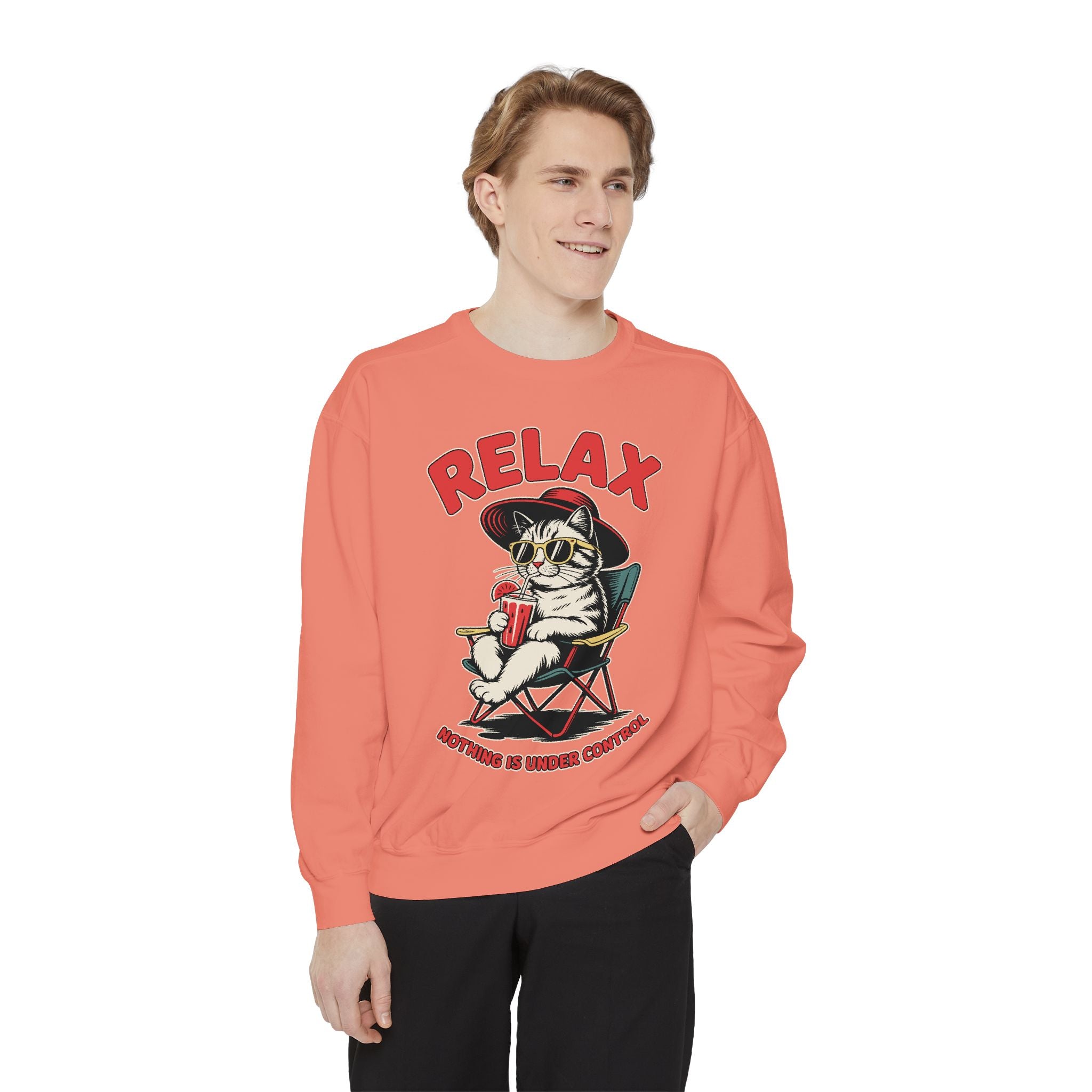 Funny Cat Lover Comfort Sweatshirt, Relax Nothing Is Under Control Crewneck, Sarcastic Cat Mom Comfort Sweatshirt Gift