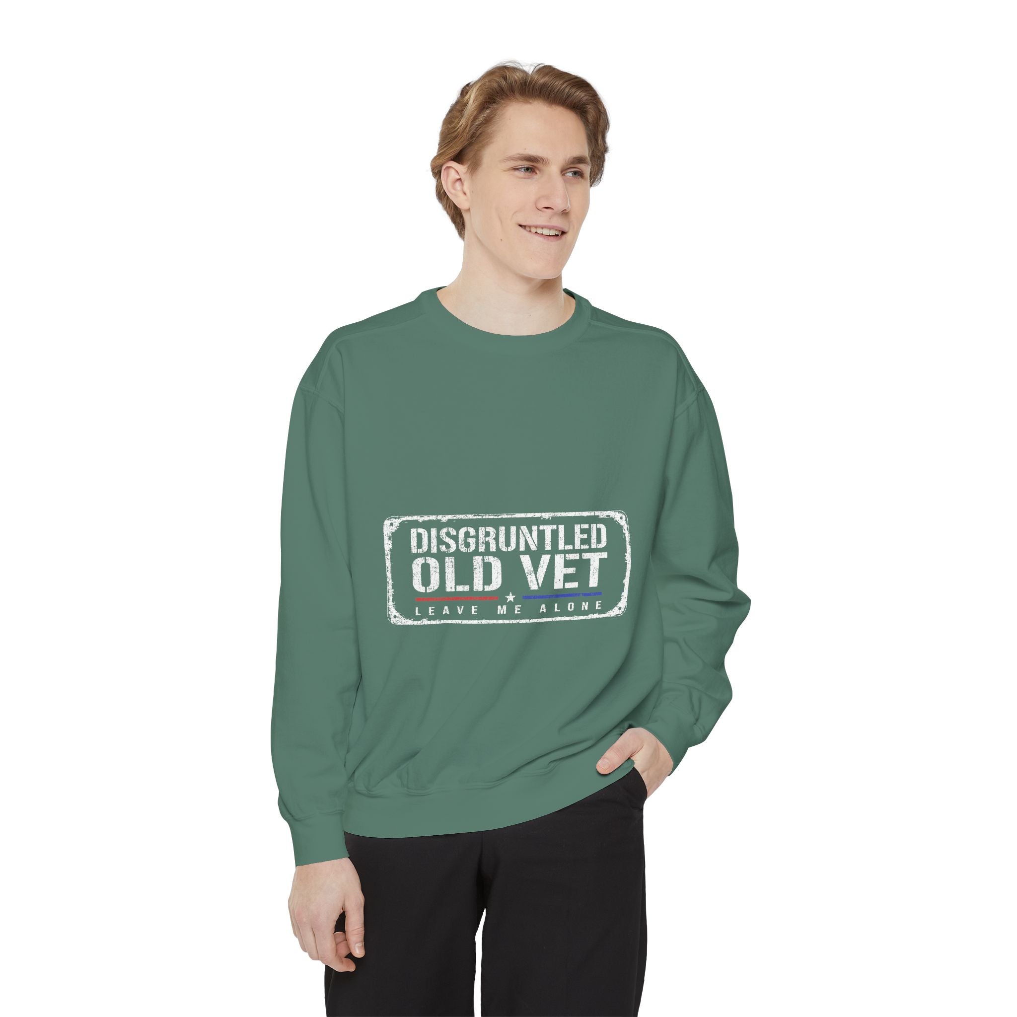 Disgruntled Old Vet Sweatshirt, Leave Me Alone Veteran Crewneck, Funny Military Gift for Retired Soldier, Sarcastic Grandpa Pullover
