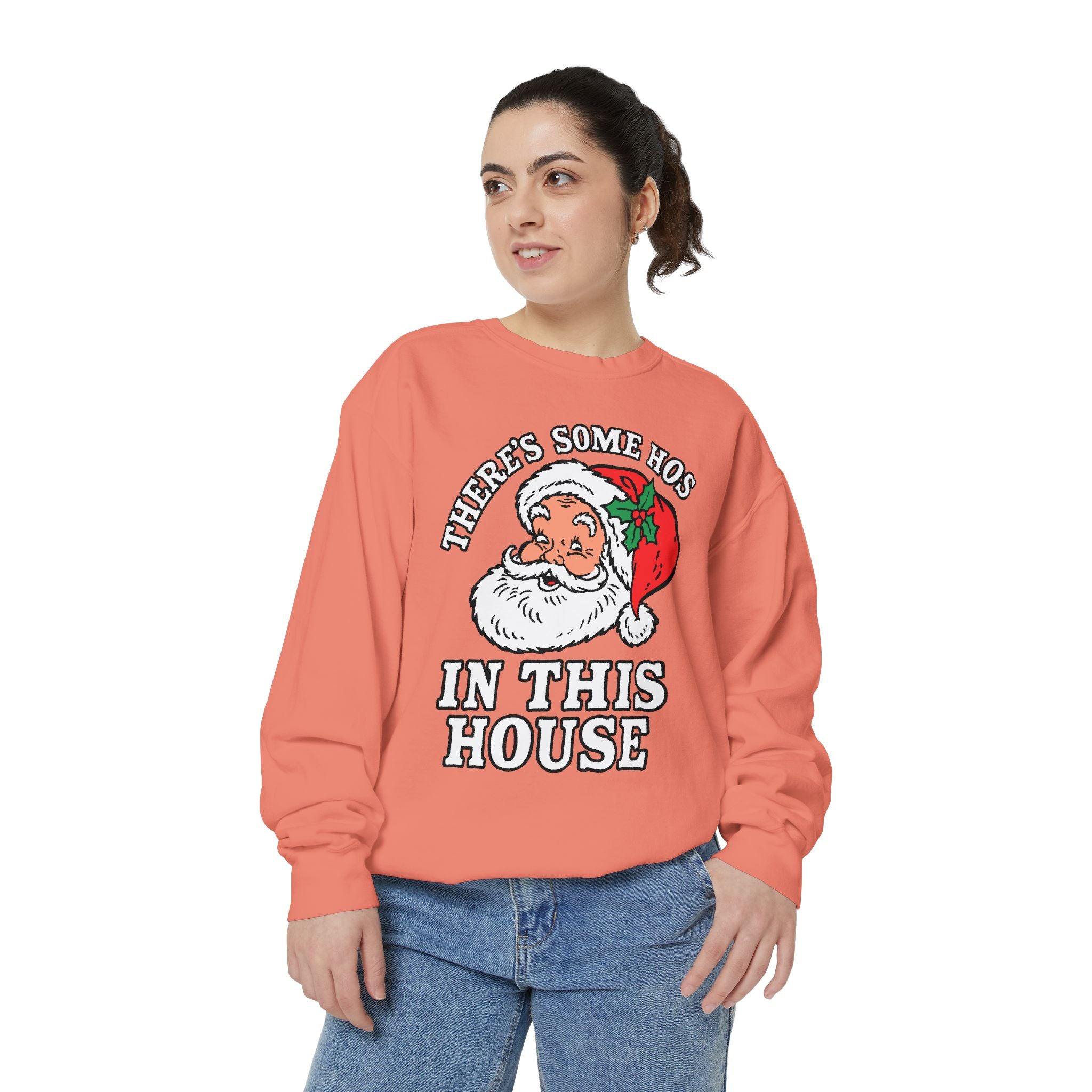 There's Some Ho's in This House Sweatshirt, Funny Santa Christmas Crewneck, Adult Holiday Party Pullover, Naughty Gift for Friends