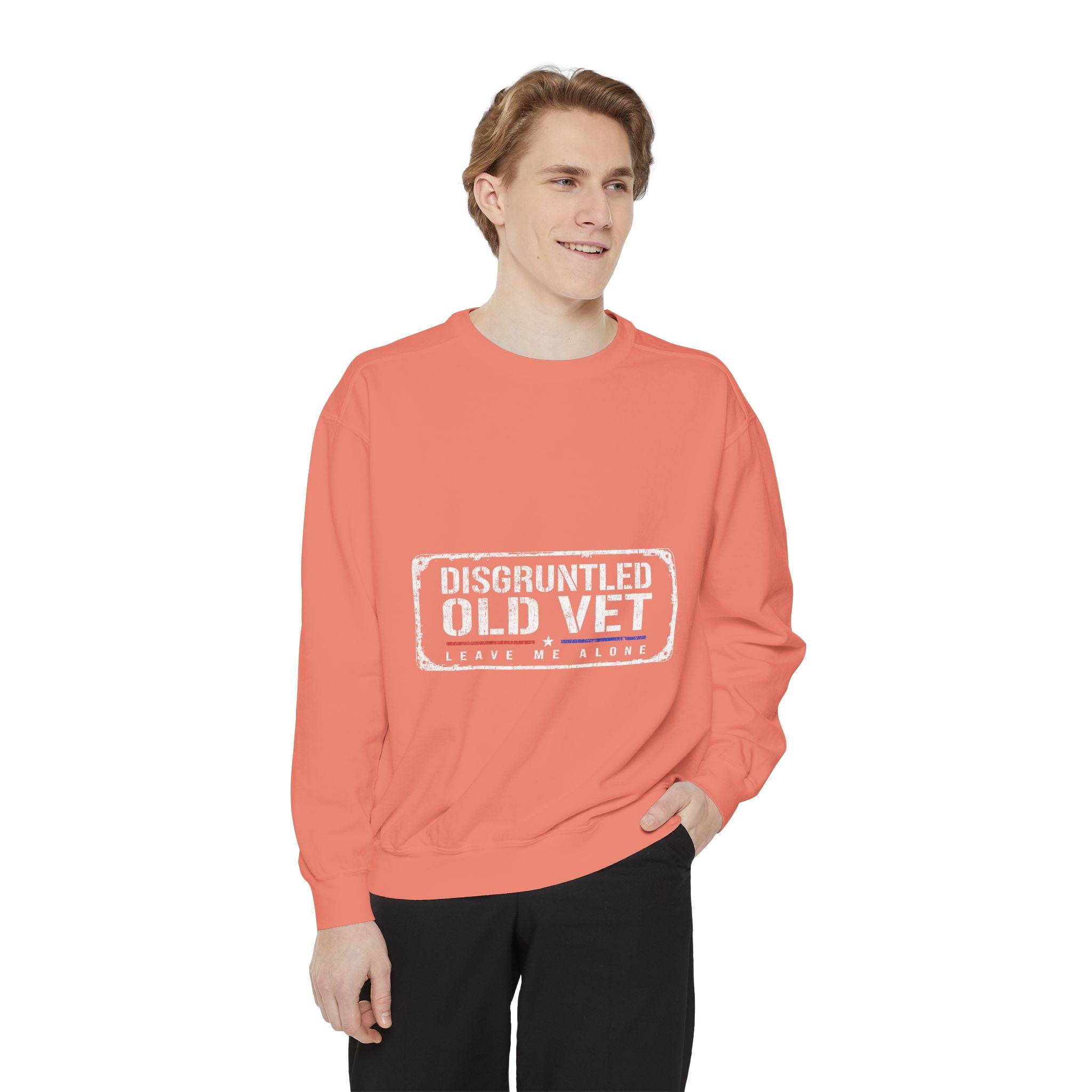 Disgruntled Old Vet Sweatshirt, Leave Me Alone Veteran Crewneck, Funny Military Gift for Retired Soldier, Sarcastic Grandpa Pullover