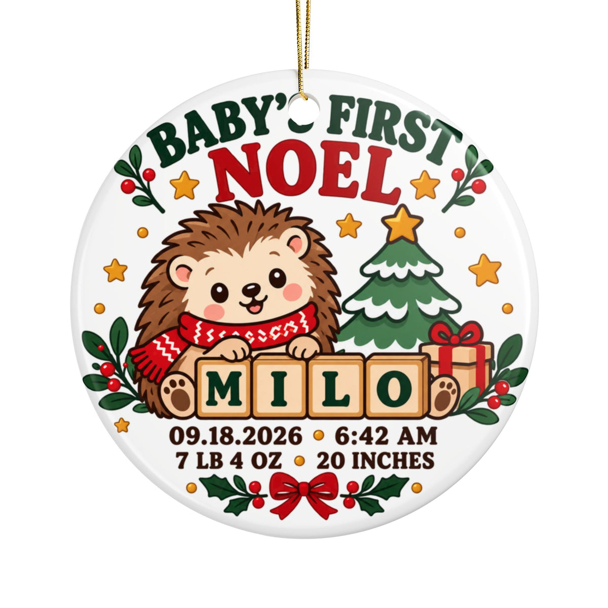 Personalized Baby Birth Stats Ornament, Hedgehog First Christmas Keepsake with Name Date Time Weight and Length, Newborn Gift for Parents