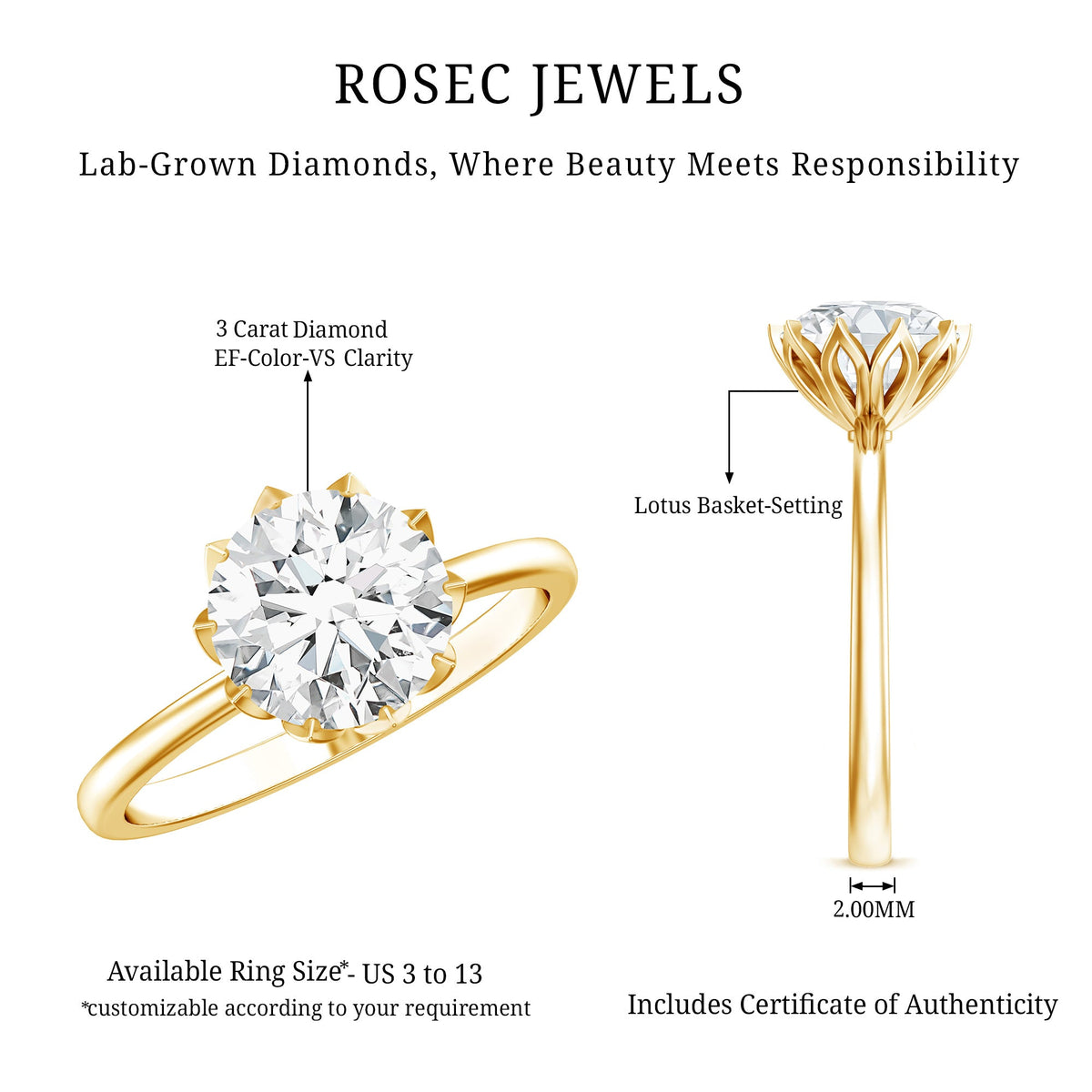 Lotus Basket Set Lab Grown Diamond 3 Carat Engagement Ring with IGI Certificate