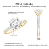 IGI Certified 3 Carat Lab Grown Diamond Statement Ring for Women
