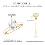 IGI Certified 3 CT Round Lab Grown Diamond Solitaire Engagement Ring