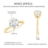 IGI Certified Lab Grown Diamond 2 CT Engagement Ring for Women