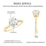 3 Carat IGI Certified Lab Grown Diamond Round Engagement Ring