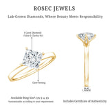 1 Carat Lab Created Diamond Princess Cut Engagement Ring IGI Certified
