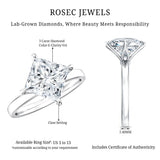 IGI Certified Lab Grown Diamond 3 Carat Princess Cut Engagement Ring
