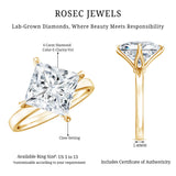 IGI Certified 4 Carat Princess Cut Lab Grown Diamond Engagement Ring